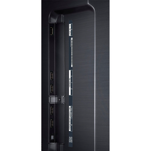 Titan L200 QNED Partial Sun Outdoor 4K Television